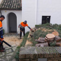 Intervención para evitar la caída de un ciprés en el Palacio de Dar al-Horra (PATRONATO DE LA ALHAMBRA Y GENERALIFE)