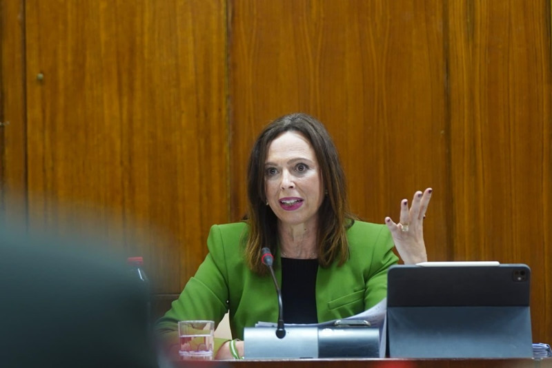 LA Consejera de Fomento , Rocío Díaz (JUNTA)