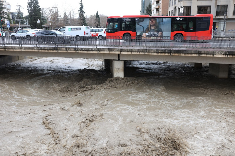 Rio Genil a rebosar por las borrascas (GPMEDIA)