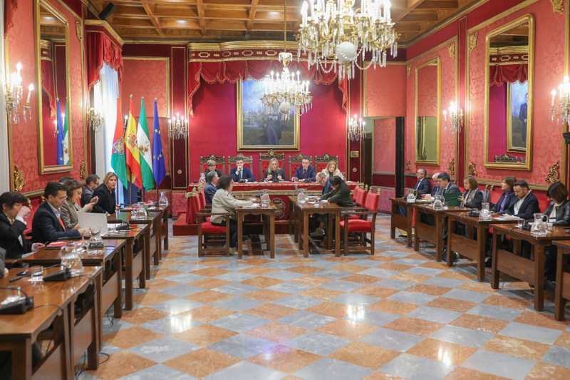 Pleno extraordinario del Ayuntamiento de Granada (GPMEDIA)
