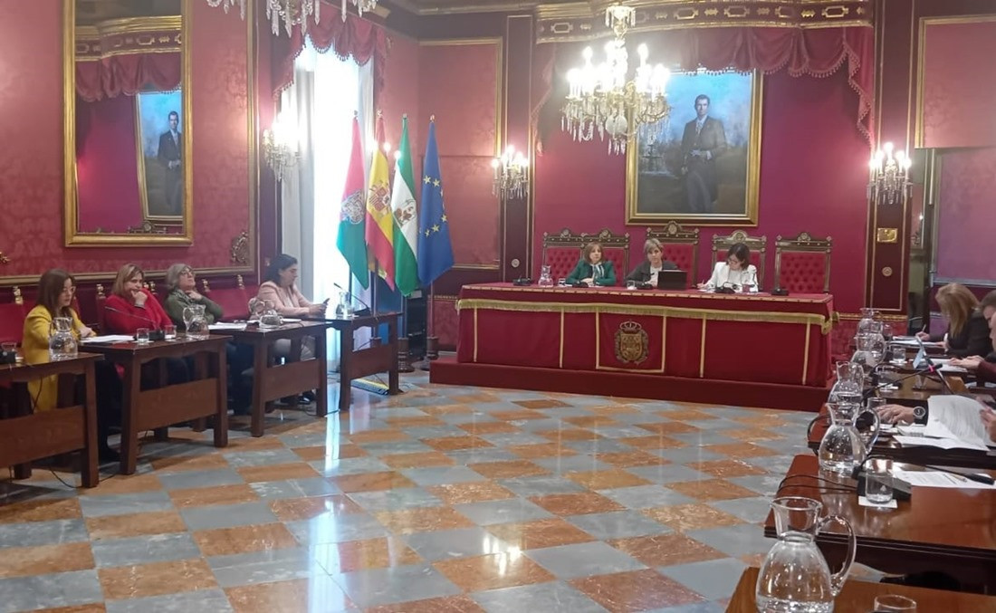 Comisión de Protección Ciudadana y Movilidad (EUROPA PRESS)