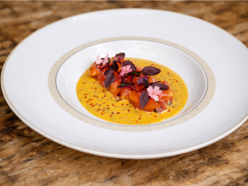 (EL CLAUSTRO) (EL CLAUSTRO)