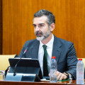 El consejero de Agricultura, Pesca, Agua y Desarrollo Rural, Ramón Fernández-Pacheco, en la comisión parlamentaria de este miércoles (JOAQUIN CORCHERO / PARLAMENTO DE ANDALUCIA)