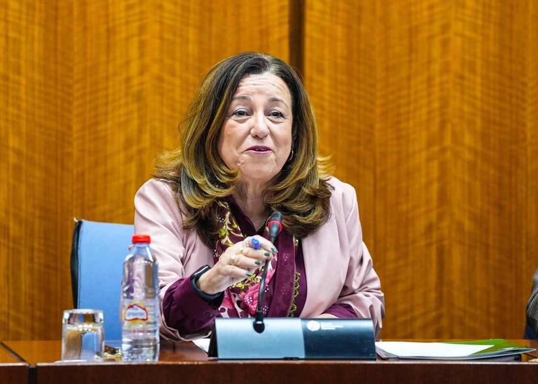 La consejera de Desarrollo Educativo y Formación Profesional, María del Carmen Castillo, en la comisión parlamentaria del 19 de febrero de 2026 (JOAQUIN CORCHERO / PARLAMENTO DE ANDALUCIA)