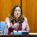 La consejera de Desarrollo Educativo y Formación Profesional, María del Carmen Castillo, en la comisión parlamentaria del 19 de febrero de 2026 (JOAQUIN CORCHERO / PARLAMENTO DE ANDALUCIA)