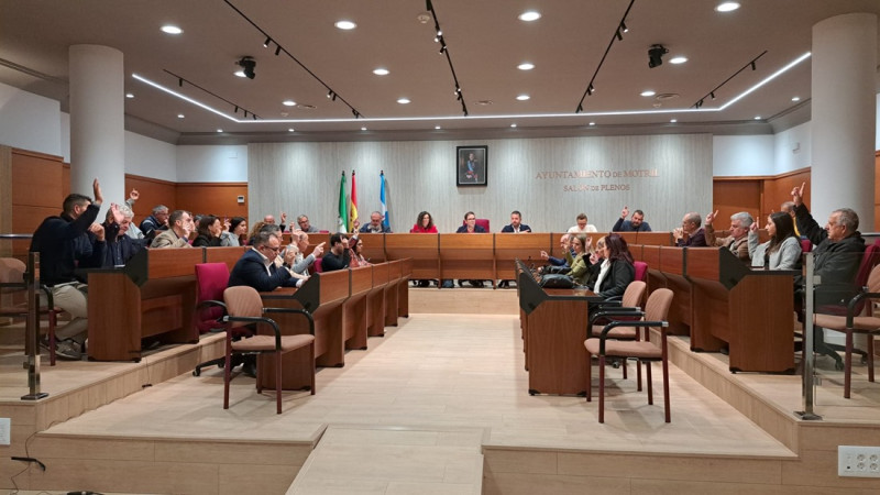 Imagen del pleno (MANCOMUNIDAD) Imagen del pleno (MANCOMUNIDAD)