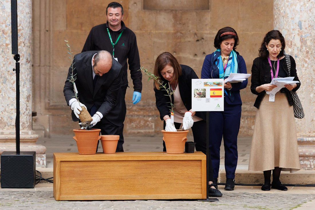 Los presidentes del Senado y del Congreso, Pedro Rollán y Francina Armengol, plantan ejemplares de olivo en el Palacio de Carlos V el pasado 2 de abril