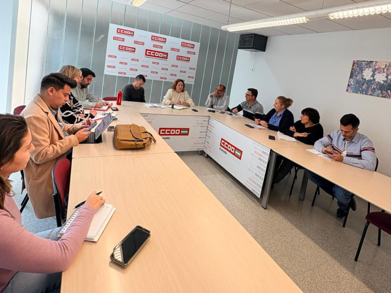 Imagen de la reunión (IU) Imagen de la reunión (IU)