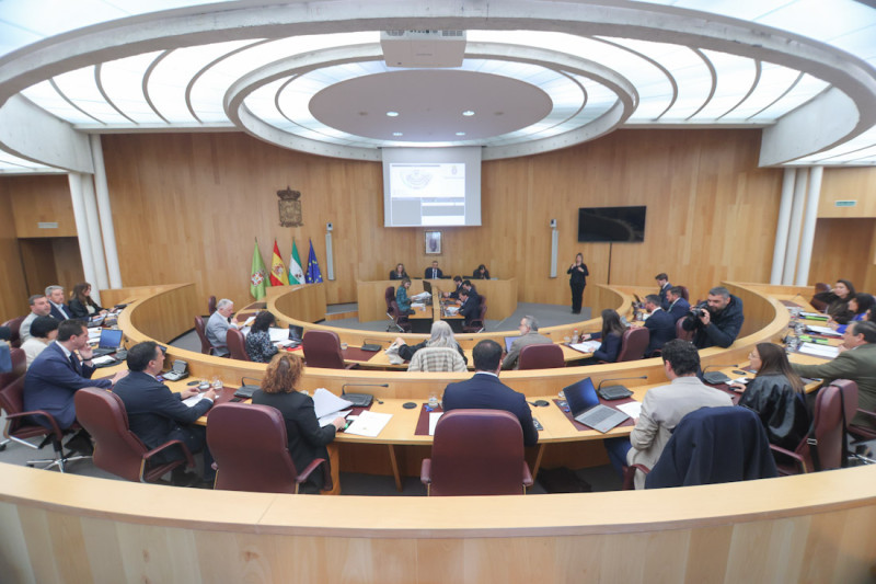 Pleno de la Diputación de Granada (PSOE)