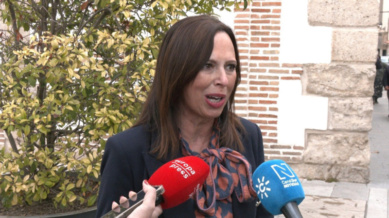 La consejera de Fomento, Rocío Díaz (EUROPA PRESS) La consejera de Fomento, Rocío Díaz (EUROPA PRESS)