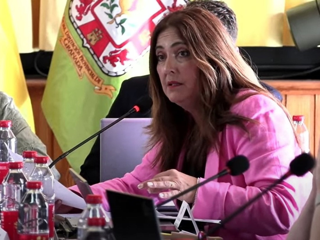 La diputada socialista en la Diputación de Granada Remedios Gámez, en imagen de archivo