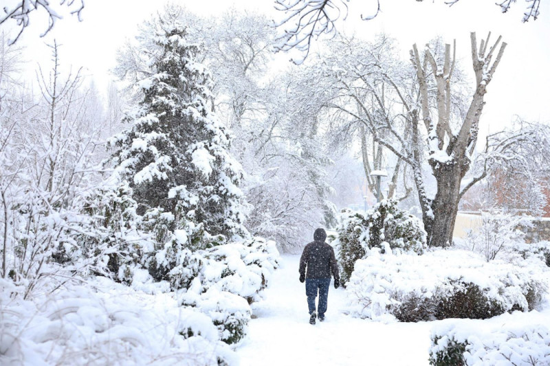Una persona camina por la nieve. Archivo (MARTA FERNÁNDEZ - EUROPA PRESS) Una persona camina por la nieve. Archivo (MARTA FERNÁNDEZ - EUROPA PRESS)