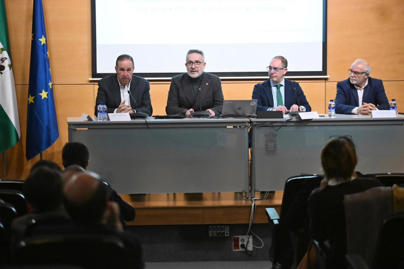 Jornada promovida por Smart City Cluster (DIPUTACIÓN DE GRANADA)