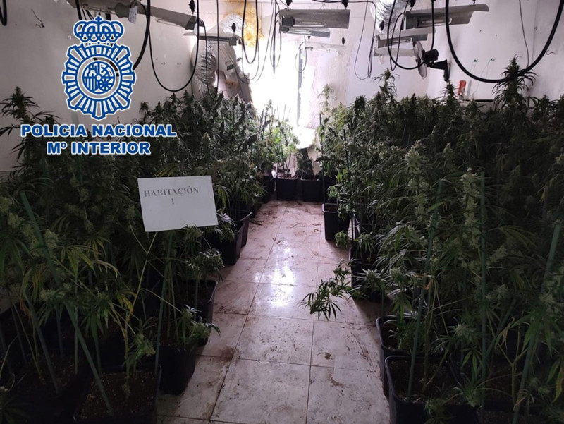 Vivienda habilitada para el cultivo de marihuana, en imagen de archivo (POLICÍA NACIONAL)