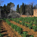 Huertas del Generalife (PATRONATO DE LA ALHAMBRA)