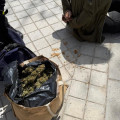 El joven ha sido detenido tras huir de los agentes, y se le han intervenido más de 1,5 kilos de marihuana (POLICÍA LOCAL DE GRANADA)
