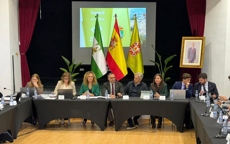 Sesión plenaria de marzo de la Diputación Provincial de Granada celebrada en Castril (DIPUTACIÓN DE GRANADA)