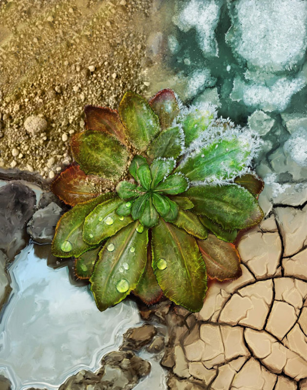 Un estudio que revela la 