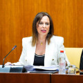 La consejera de Fomento, Articulación del Territorio y Vivienda, Rocío Díaz, durante una comisión de Fomento