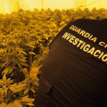Un agente de la Guardia Civil interviene una plantación de marihuana. Archivo (GUARDIA CIVIL/ARCHIVO)