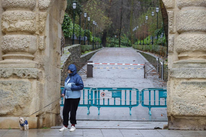 La Alhambra cierra el acceso a sus bosques por riesgo de caída de ramas o árboles. Imagen de archivo (ÁLEX CÁMARA-EUROPA PRESS) La Alhambra cierra el acceso a sus bosques por riesgo de caída de ramas o árboles. Imagen de archivo (ÁLEX CÁMARA-EUROPA PRESS)