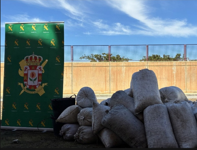 Aceitunas recuperadas (GUARDIA CIVIL)