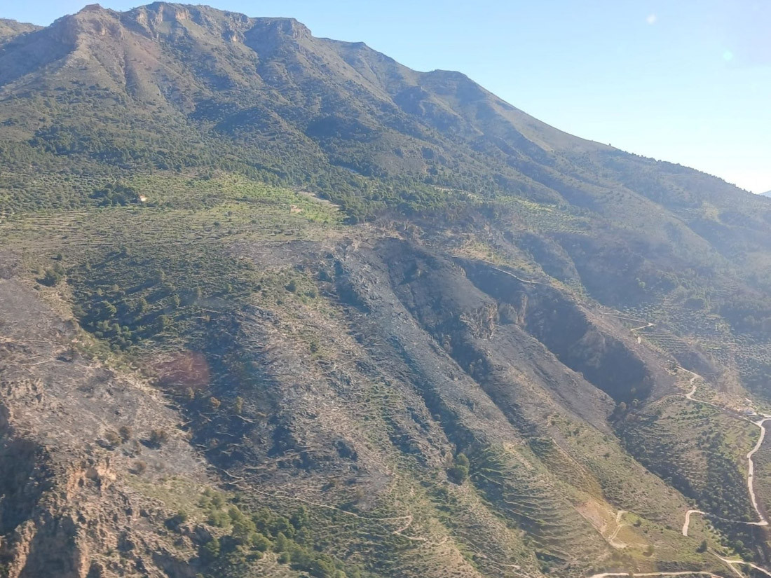 Vista del área afectada por el incendio en el paraje de Alberca Alta en Los Guájares (PLAN INFOCA)