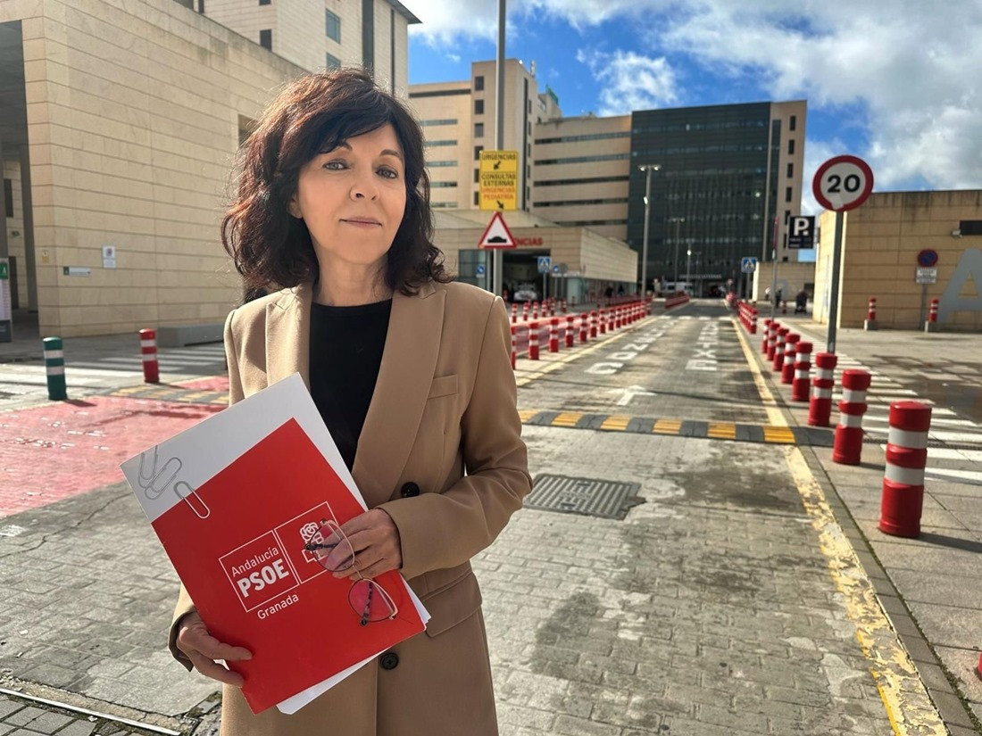 La parlamentaria andaluza en funciones María Ángeles Prieto (PSOE GRANADA)