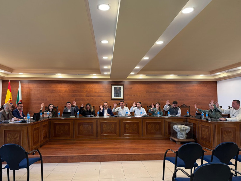 Pleno del Ayuntamiento de Granada (AYTO. ALHENDÍN)