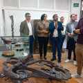 Visita a la exposición (JUNTA)