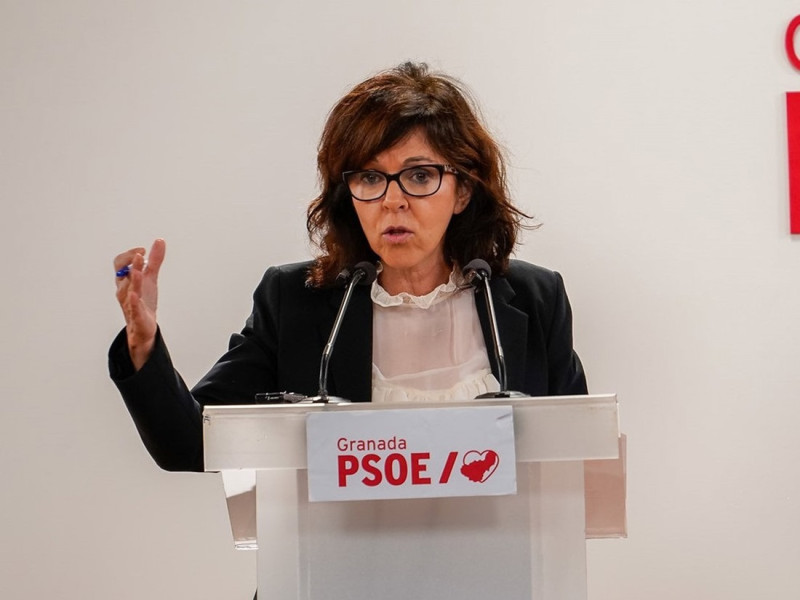 (PSOE) (PSOE)