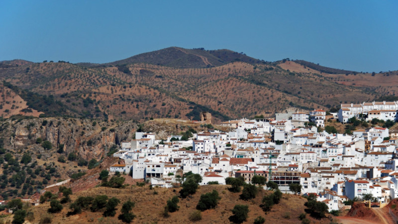 (SUBDELEGACION) (SUBDELEGACION)