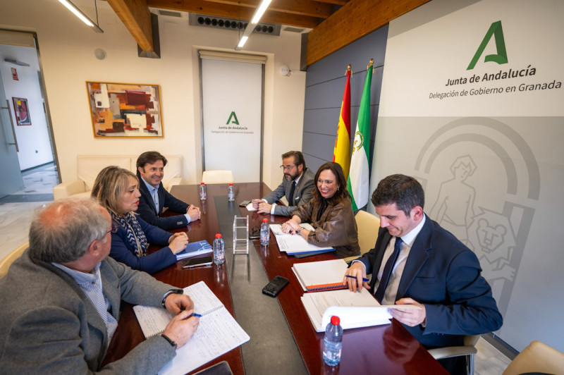 Imagen de la reunión (JUNTA)