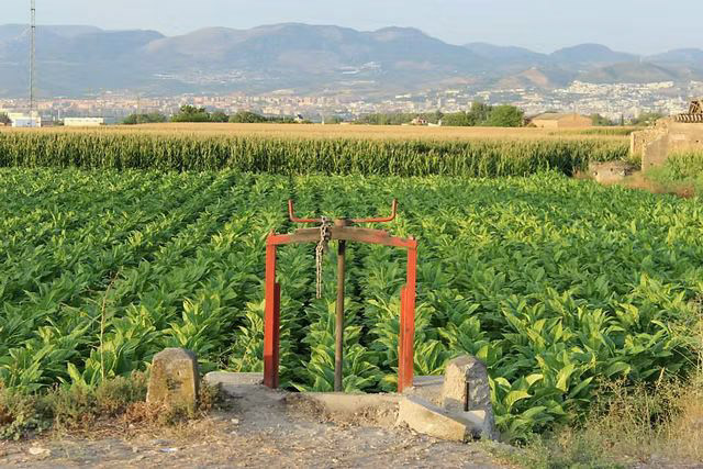 (AYTO. LAS GABIAS) (AYTO. LAS GABIAS)