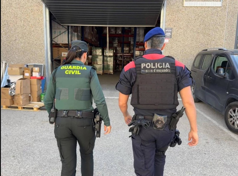 Una agente de la Guardia Civil y otro de los Mossos d'Esquadra en un operativo conjunto contra una red de tráfico de marihuana (MOSSOS D'ESQUADRA)