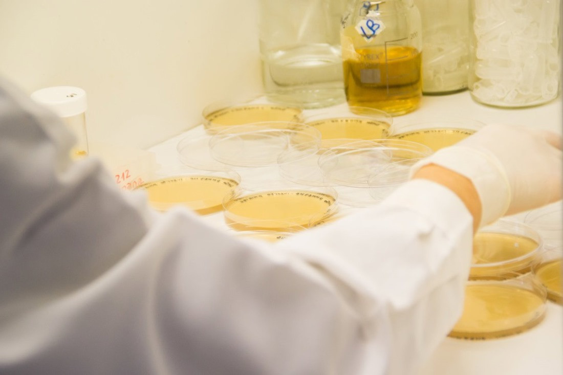 Placas de Petri (JUNTA DE ANDALUCÍA)