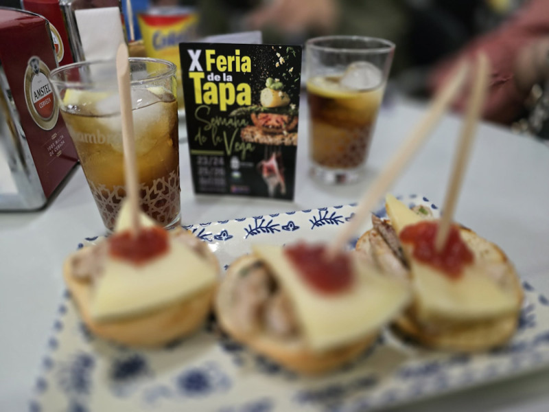 (AYTO. CÚLLAR VEGA)