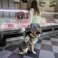 Usuaria con un perro guia en una carnicería (FUNDACIÓN ONCE)
