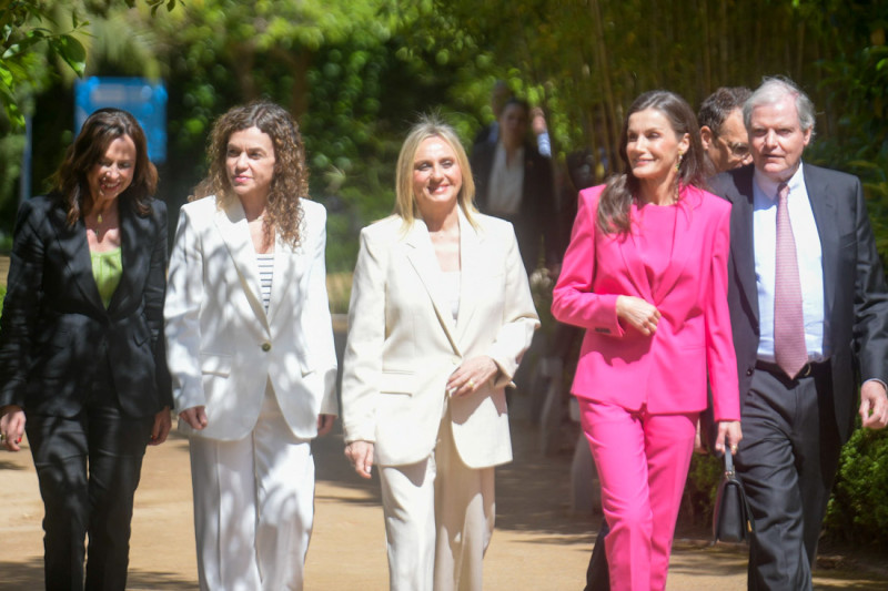 Llegada de la Reina Letizya a la entrega de premios (GPMEDIA)