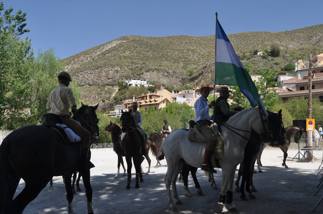 Día del caballo en Monachil (AYTO. MONACHIL)