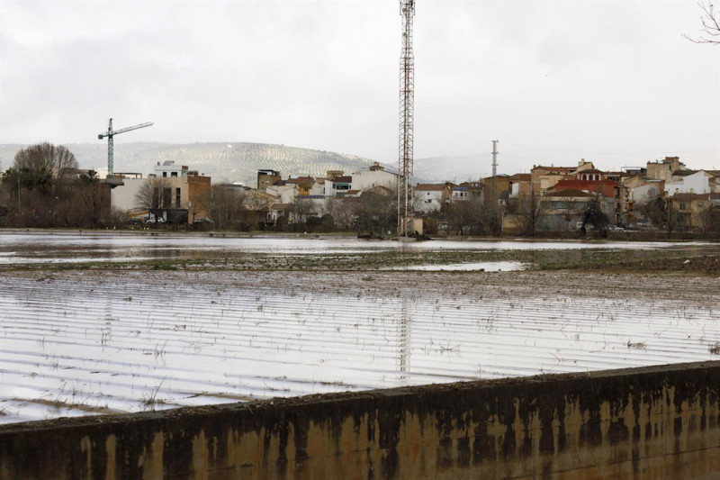 Cultivos anegados tras las inundaciones producidas durante el tren de borrascas en Huétor Tájar (ÁLEX CÁMARA - EUROPA PRESS)