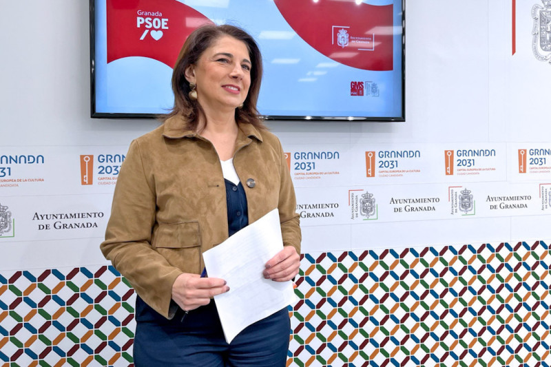 (PSOE) (PSOE)