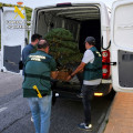 Imagen de archivo (GUARDIA CIVIL)