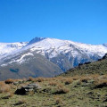 Imagen Del Parque Nacional De Sierra Nevada (MARM)