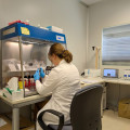 La investigación ha sido liderada por Elena Bazo, estudiante predoctoral de la Universidad de Granada, bajo la supervisión de los profesores Gloria Titos y Alberto Cazorla, del Departamento de Física Aplicada y del Iista (UGR)
