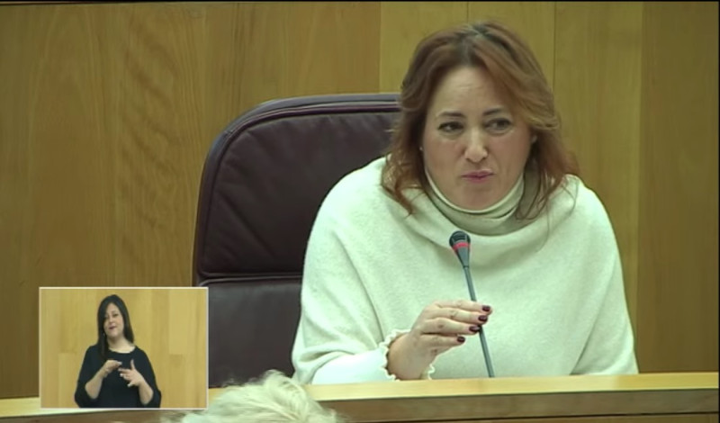 Mari Carmen Pérez (IU) Mari Carmen Pérez (IU)