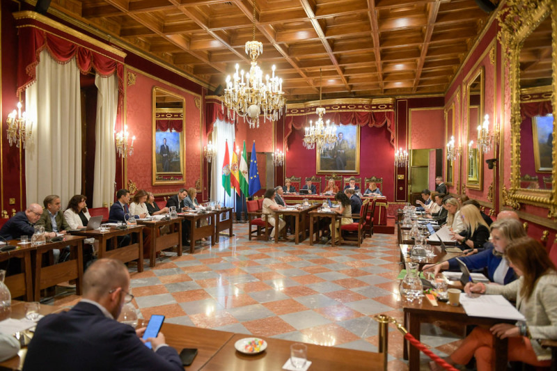 Pleno del Ayuntamiento de Granada (GPMEDIA)