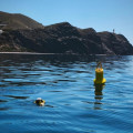 Aspecto de la boya oceanográfica en la superficie (PUERTO DE MOTRIL)
