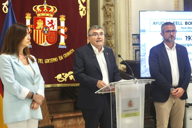 (SUBDELEGACIÓN)