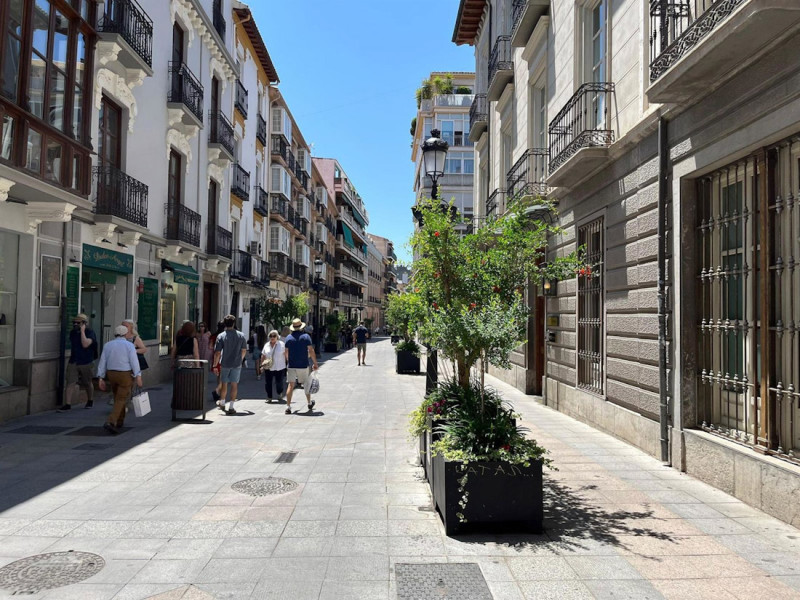 (PSOE) (PSOE)